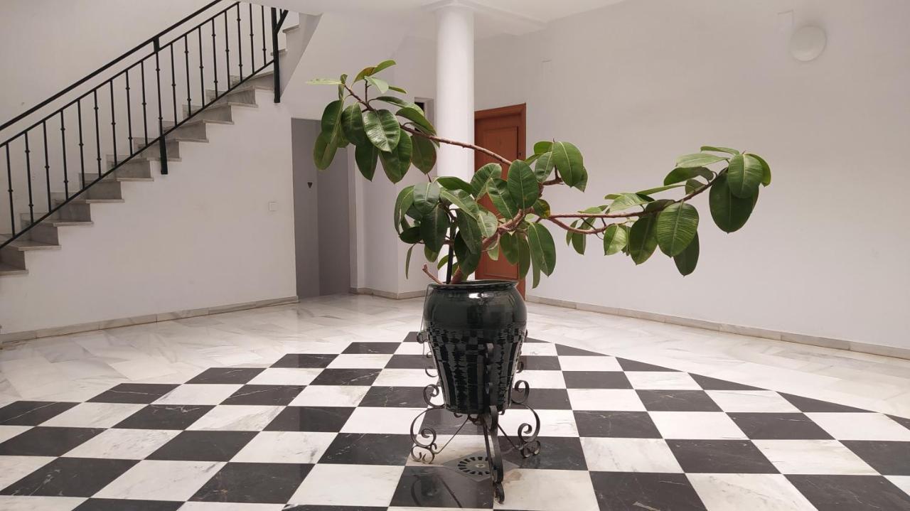 جيريز Sherryflat Palmeras المظهر الخارجي الصورة